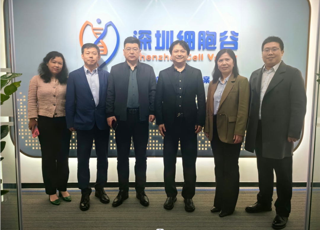 河南科技大學(xué)第二附屬醫(yī)院院長邢建武、副院長王慧睿一行蒞臨深圳細胞谷交流訪問