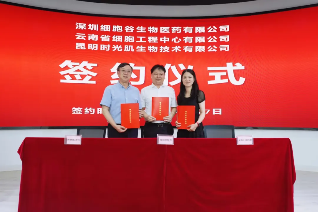 深圳細(xì)胞谷生物醫(yī)藥有限公司、云南省細(xì)胞工程中心有限公司及昆明時(shí)光肌生物技術(shù)有限公司達(dá)成戰(zhàn)略合作