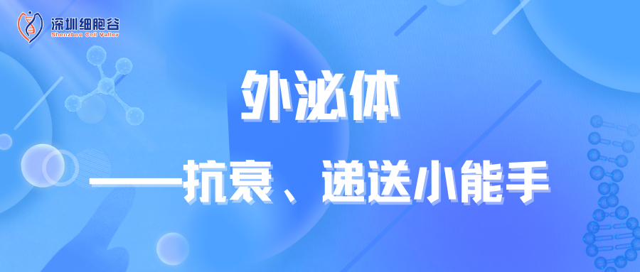 外泌體——抗衰、遞送小能手